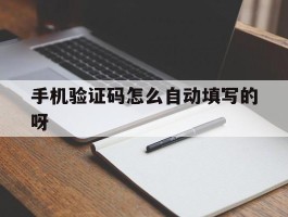 手机验证码怎么自动填写的呀