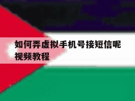 如何弄虚拟手机号接短信呢视频教程