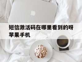短信激活码在哪里看到的呀苹果手机的简单介绍