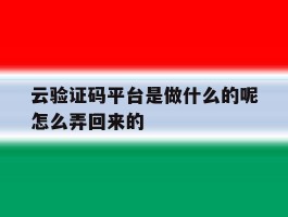 关于云验证码平台是做什么的呢怎么弄回来的的信息
