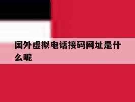 国外虚拟电话接码网址是什么呢
