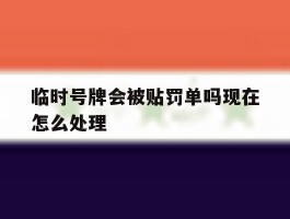 临时号牌会被贴罚单吗现在怎么处理