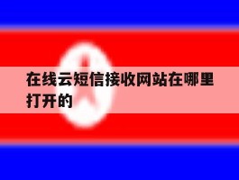 在线云短信接收网站在哪里打开的