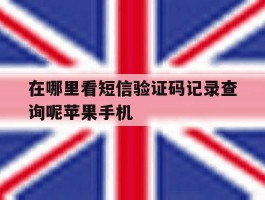 在哪里看短信验证码记录查询呢苹果手机的简单介绍