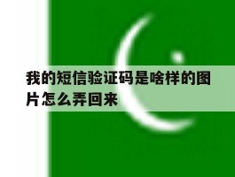 我的短信验证码是啥样的图片怎么弄回来