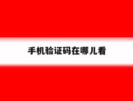 手机验证码在哪儿看