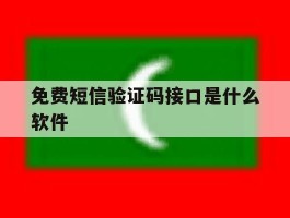 免费短信验证码接口是什么软件