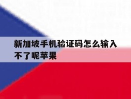 新加坡手机验证码怎么输入不了呢苹果