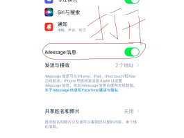 短信验证码收不了怎么办呢苹果手机