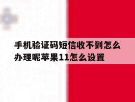 手机验证码短信收不到怎么办理呢苹果11怎么设置的简单介绍