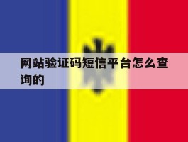 网站验证码短信平台怎么查询的