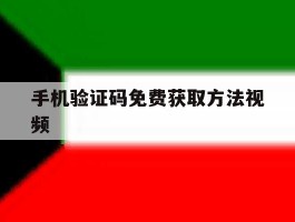 手机验证码免费获取方法视频