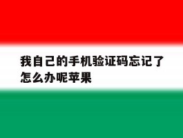 我自己的手机验证码忘记了怎么办呢苹果的简单介绍