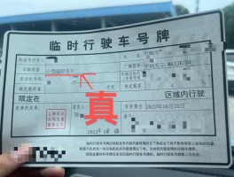 临时号牌可以查违章吗