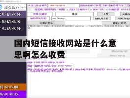 国内短信接收网站是什么意思啊怎么收费