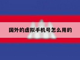 国外的虚拟手机号怎么用的