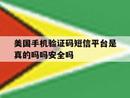 美国手机验证码短信平台是真的吗吗安全吗的简单介绍
