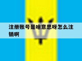 注册账号是啥意思呀怎么注销啊