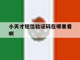 小天才短信验证码在哪里看啊