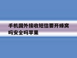 手机国外接收短信要开蜂窝吗安全吗苹果
