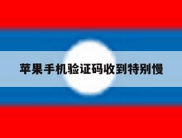 苹果手机验证码收到特别慢