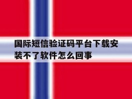 国际短信验证码平台下载安装不了软件怎么回事的简单介绍