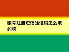 账号注册短信验证码怎么填的呀