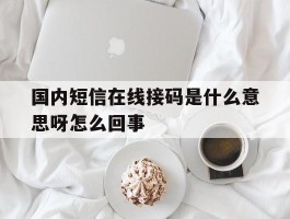 国内短信在线接码是什么意思呀怎么回事