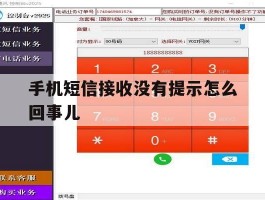手机短信接收没有提示怎么回事儿