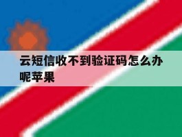 云短信收不到验证码怎么办呢苹果