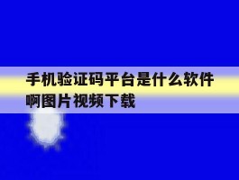 手机验证码平台是什么软件啊图片视频下载的简单介绍