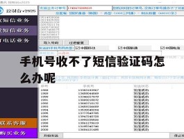 手机号收不了短信验证码怎么办呢