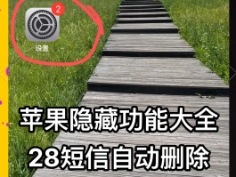 关于临时短信验证接码怎么关闭呢苹果手机的信息