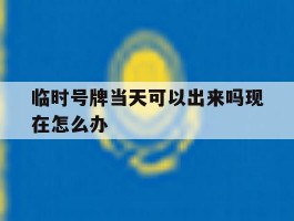 临时号牌当天可以出来吗现在怎么办