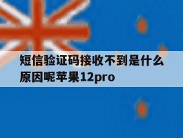 短信验证码接收不到是什么原因呢苹果12pro