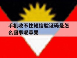 手机收不住短信验证码是怎么回事呢苹果