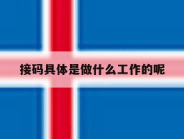 接码具体是做什么工作的呢的简单介绍
