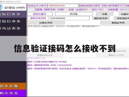 信息验证接码怎么接收不到