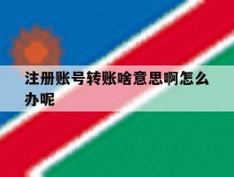 注册账号转账啥意思啊怎么办呢