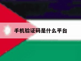 手机验证码是什么平台