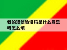 我的短信验证码是什么意思呀怎么填