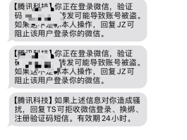 在线手机短信验证码平台是什么意思啊