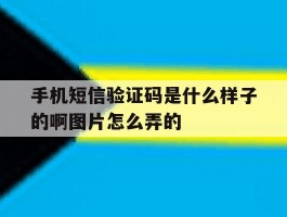 手机短信验证码是什么样子的啊图片怎么弄的