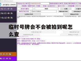 临时号牌会不会被拍到呢怎么查