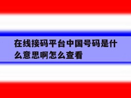 在线接码平台中国号码是什么意思啊怎么查看的简单介绍