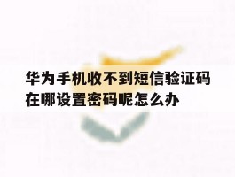 华为手机收不到短信验证码在哪设置密码呢怎么办的简单介绍