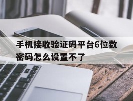 手机接收验证码平台6位数密码怎么设置不了