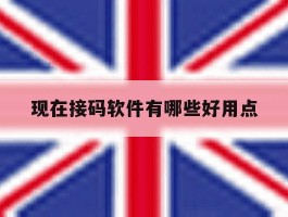 现在接码软件有哪些好用点