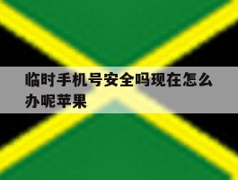 临时手机号安全吗现在怎么办呢苹果