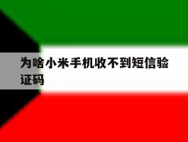 为啥小米手机收不到短信验证码